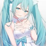 今日の美沙子さん きるきん