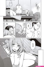 金装的维尔梅同人