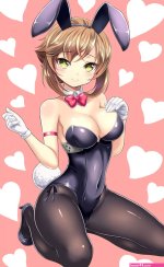It is the guy genius who thought about net tights to shoulder soup stock leotards in image ear of the bunny