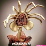 Every life circle starts with the face hugger from face hugger hentai aliens Post