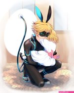 tomm0515 miraculous ladybug adrien agreste chat noir 1boy