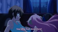 Seikoku no Dragonar Review