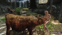 Skyrim More Nasty Critters SLAL Edition v.12.1 GiG-LiFe.ru