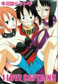 Luffy E Nico Robin Hentai