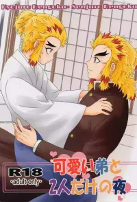 Kawaii Otouto to Futari dake no Yoru nhentai: hentai doujinshi and manga