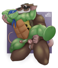 Rule 34