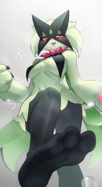 Pokemon Hentai Art