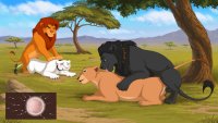 Rule 34
