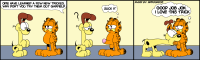Rule 34