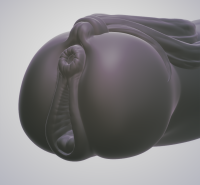 STL Horse Pussy Fantasy Masturbator: Centora 3D Cults