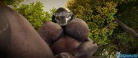 Dasharky3D Futa predator POV