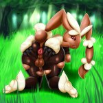 Xbooru