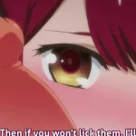 Valkyrie Drive: Mermaid