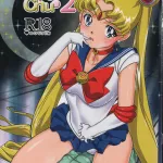 USED Hentai Doujinshi
