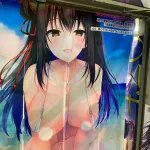 Tokyo: Akihabara Private Hentai Tour
