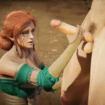 The Witcher