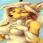 gay furry roblox porn furry horse yiff porn