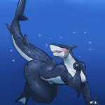 Futa shark by LurkingTyger on DeviantArt