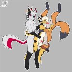 Sapphire Fox species Porn