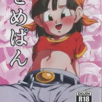 USED Hentai Doujinshi