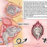 Insect Research Report EXNo.03