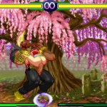 Mai vs Birdie Mugen