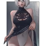 NieR Automata. 2B. TSFSingularity CunCyun