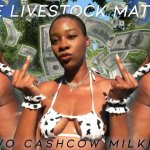 Wit vee is van belang: BNWO CASHCOW MILKING