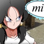 Videl Mini Chuchozepa