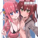 USED Hentai Doujinshi