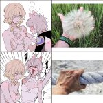 d0600059994959 aglaea honkai: star rail cipher honkai: star rail honkai: star rail honkai series commentary highres symbol-only commentary 1futa 1girl animal ears blonde hair blush breasts cat ears cat girl closed eyes