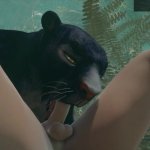 Wild Life Black Panther Hunts Down Her Prey