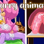 Amy and Blaze from Sonic fuck each other until they creampie her womb Furry animation