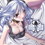 Slave Market Hentai DVD