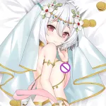 Buy Kokoro Natsume Hentai Body Pillow Case