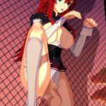 High School DxD