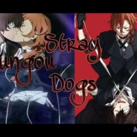 sex bungou stray dog