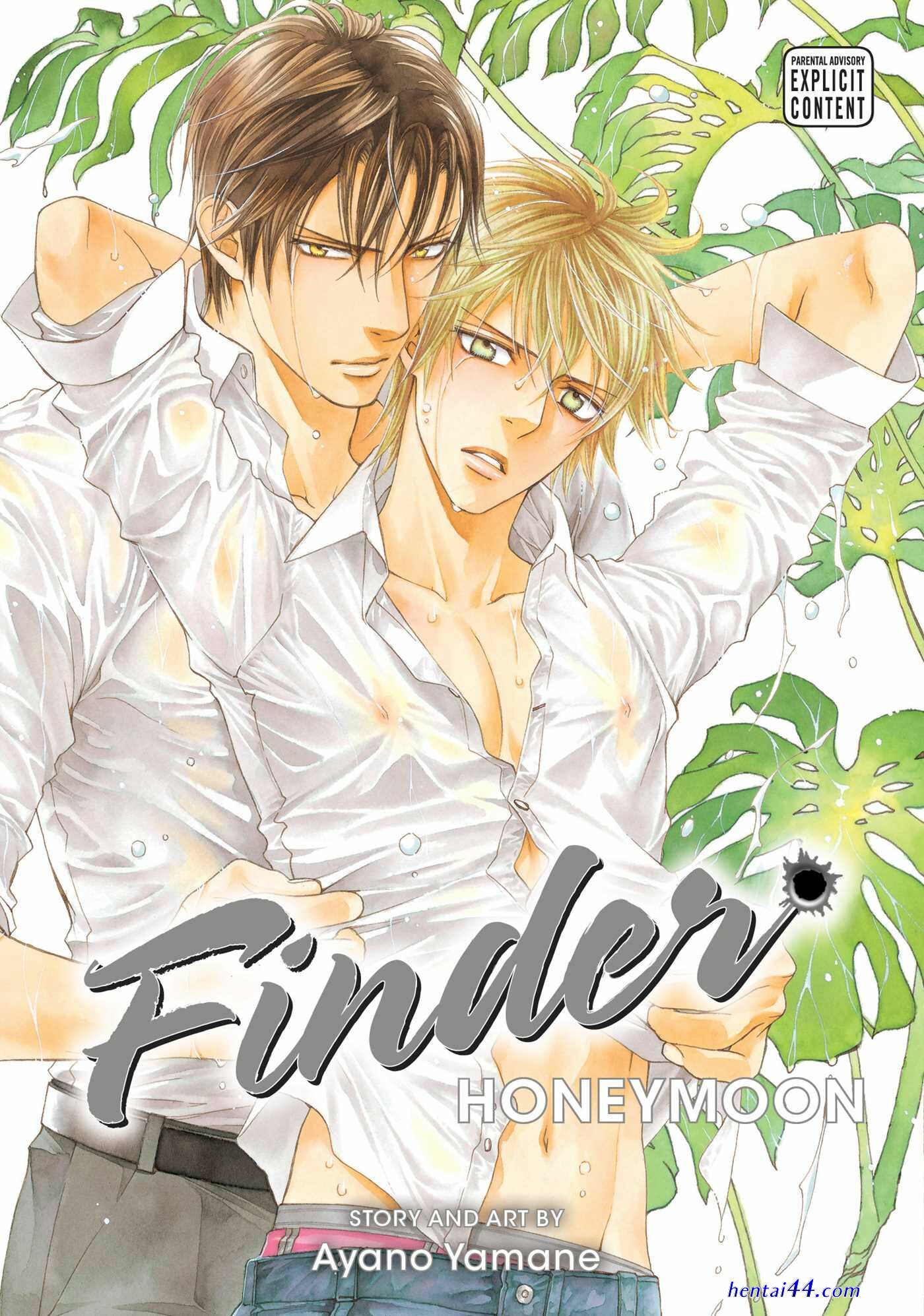 Yaoi manga hentai