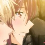 boy meets harem the animation