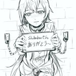 白夜弦hakuyagen