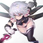 ladies collection 師匠
