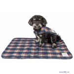 pet life tập 1