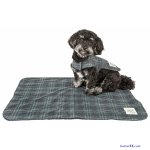 pet life tập 1