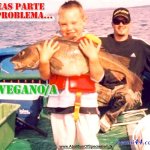 vivevegano.org