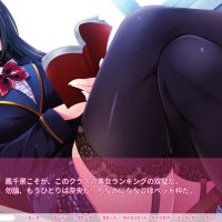real eroge situation 2 the