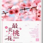 桃吹才
