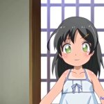 ichinen buri no the animation