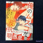 はんこうき bl