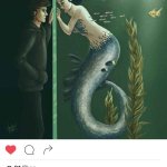 the mermaid is in the aquarium by yagigoya