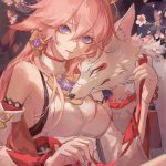 八重神子本子